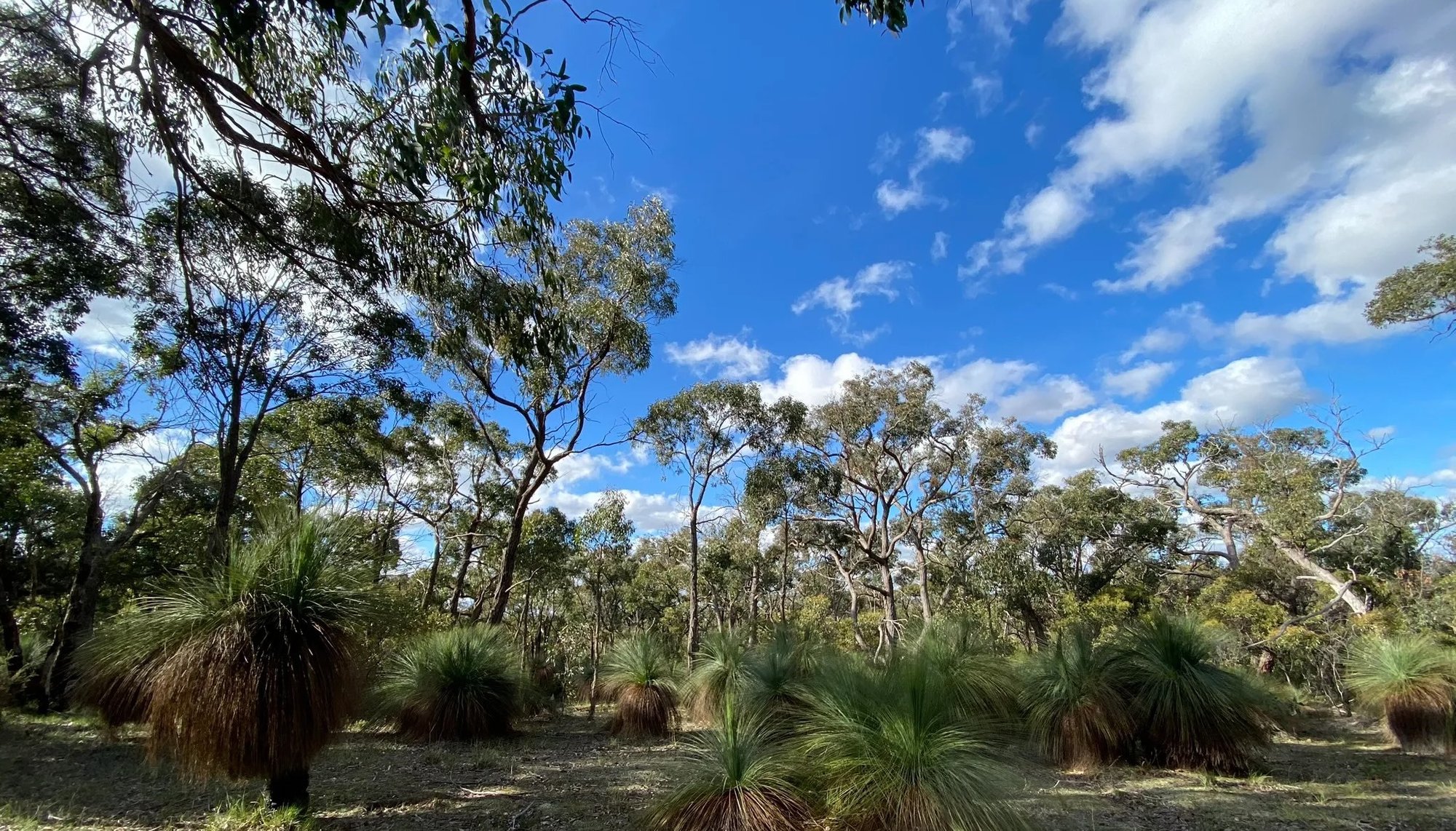 Brisbane Ranges_Hero