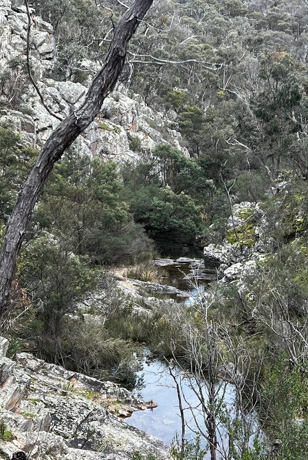 Brisbane Ranges_Image 02
