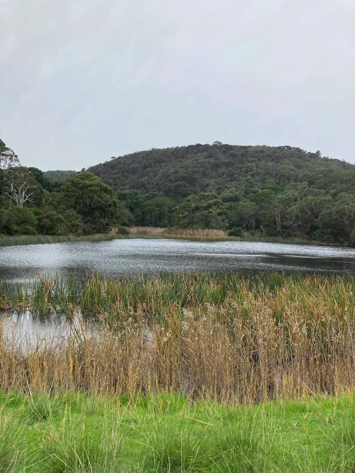 Image 5-1