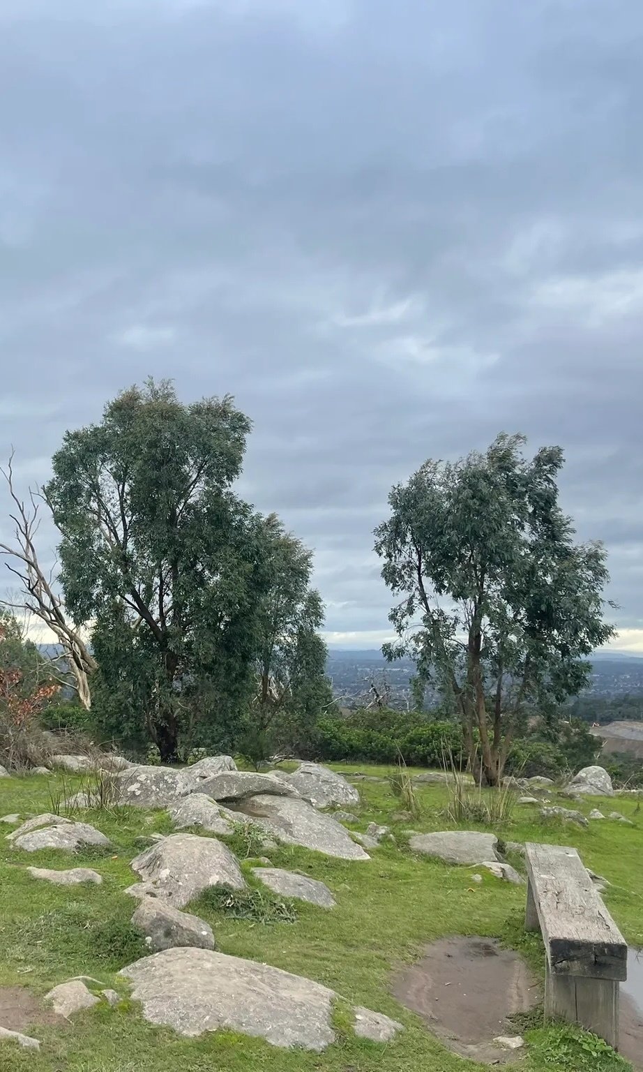 Lysterfield_Image 2