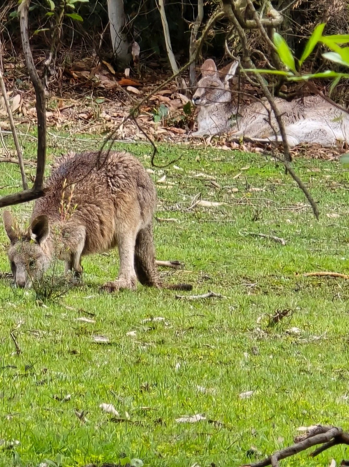 Lysterfield_Image 4