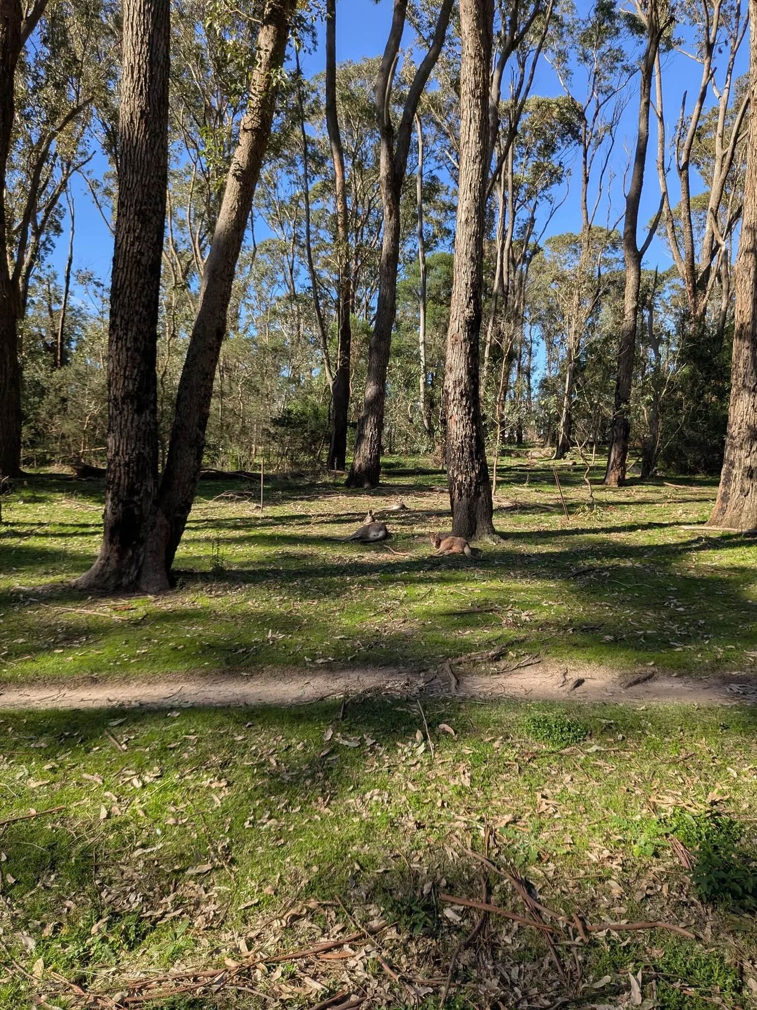 Lysterfield_Image 5