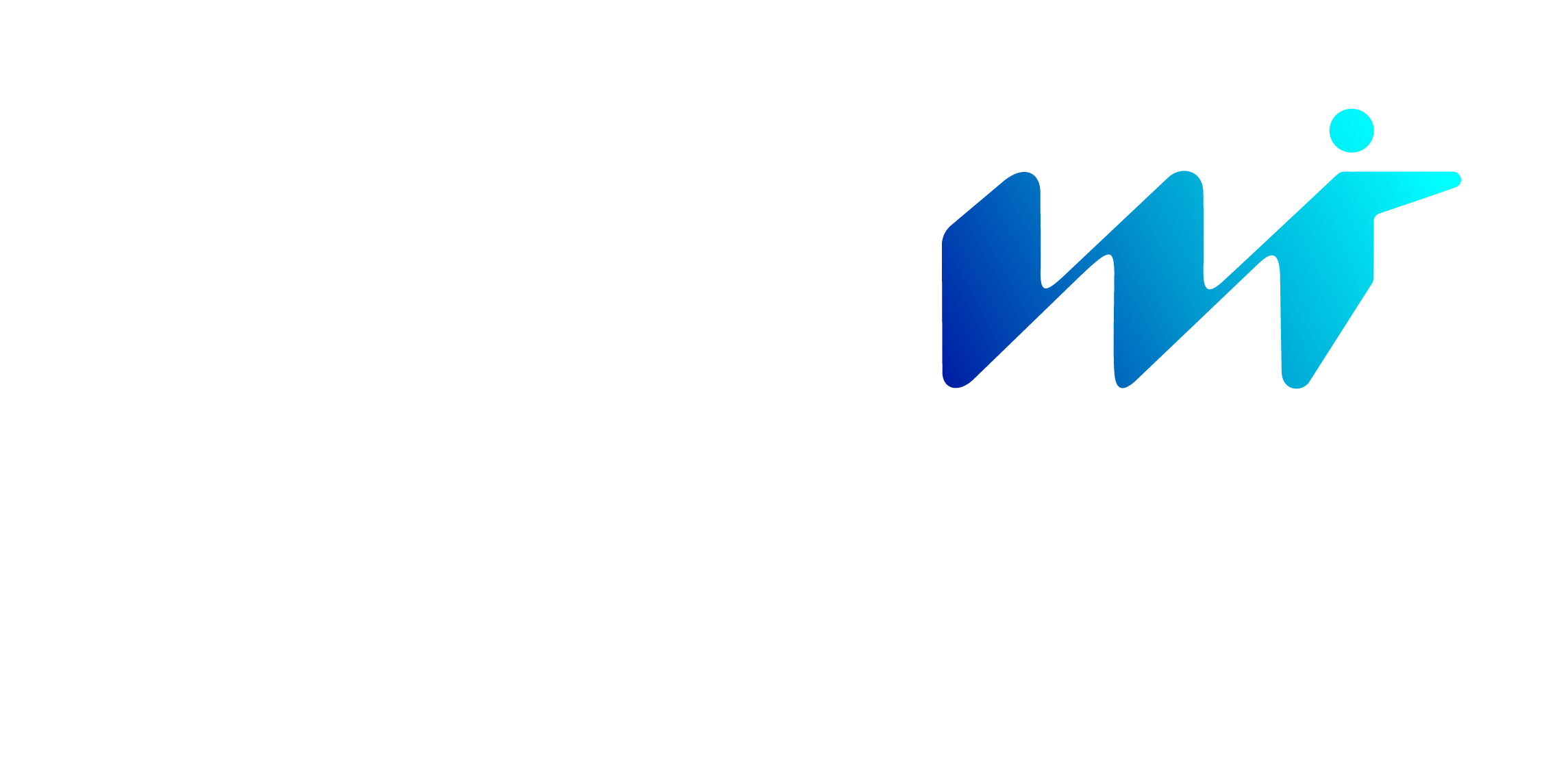 MT_LOGO_H_Rev Colour