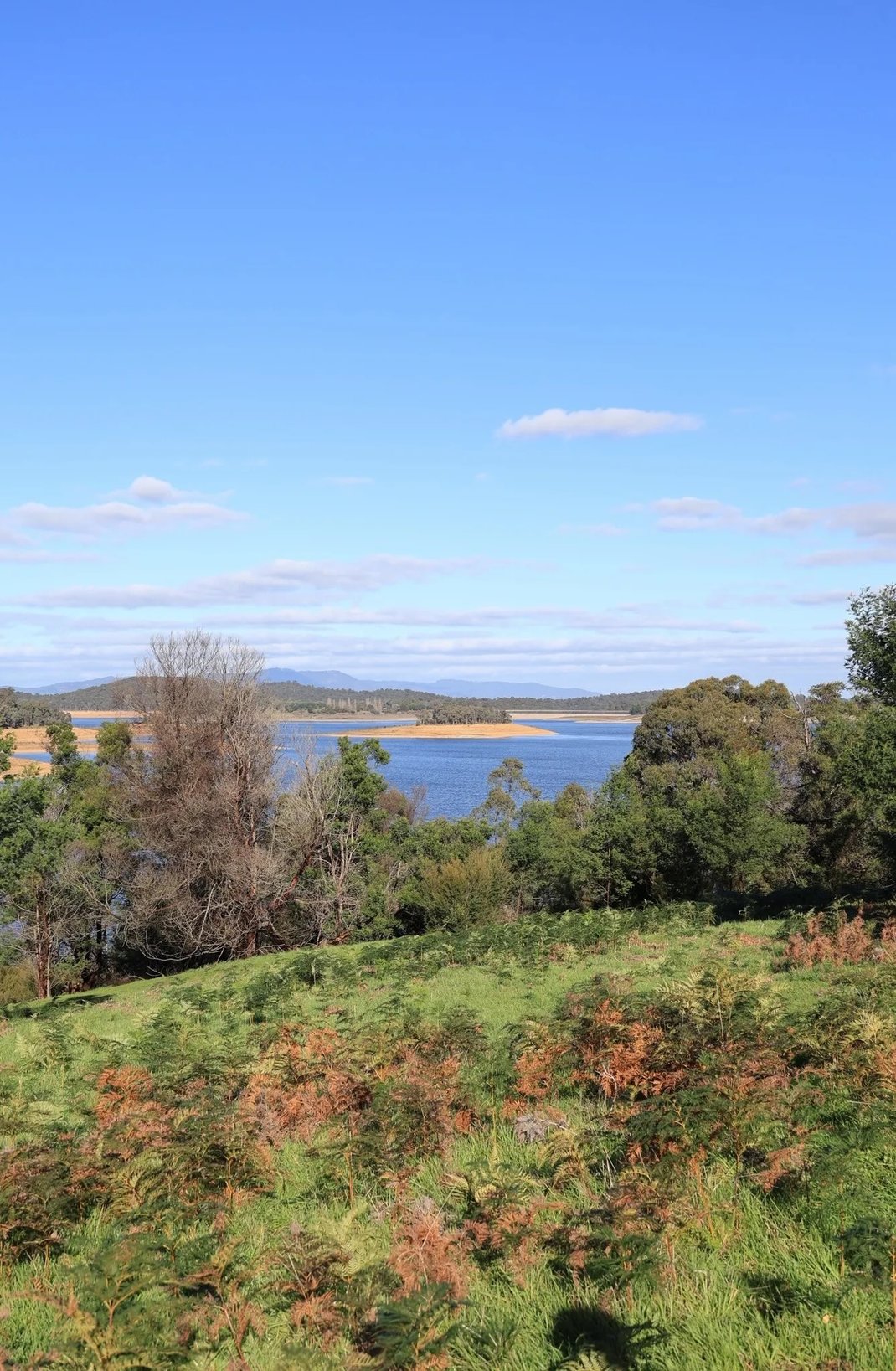 Sugarloaf reservoir_Carousel_01
